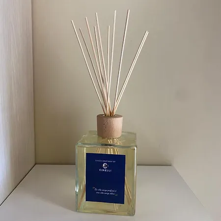 アパート Chicco Light By Cinelli